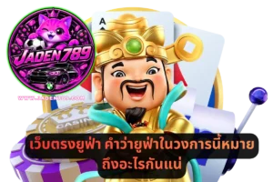 เว็บตรงยูฟ่า คำว่ายูฟ่าในวงการนี้หมายถึงอะไรกันแน่